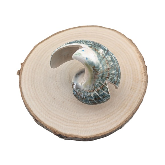 Other - Zuni Animal Fetish - Green Snail Shell Signed Native American Spirit Animal